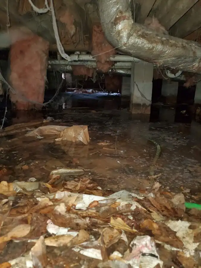 Crawl space flood assessment for Leak Detection & Repair in Lawrenceburg